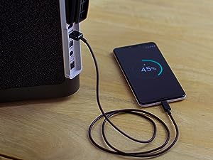 Ultimate Ears Hyperboom Portable & Home Wireless Bluetooth Speaker - Black